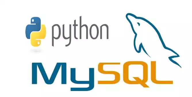 Экспертное руководство по работе с базами данных MySQL в Python