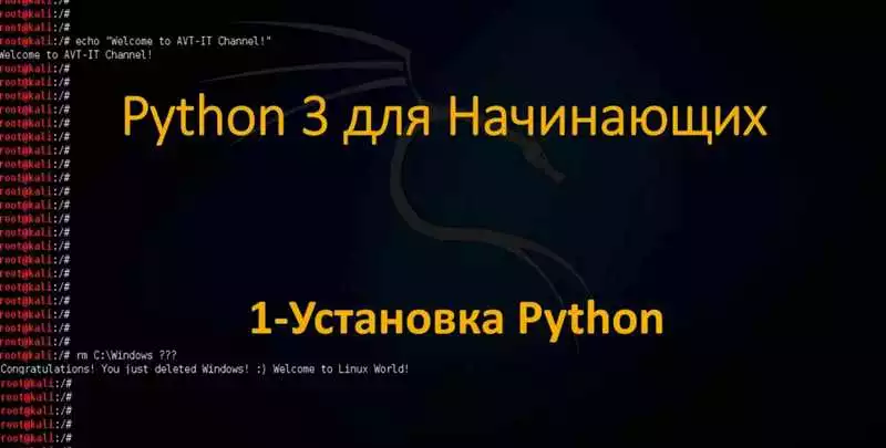 Изучайте Python онлайн с лучшими экспертами