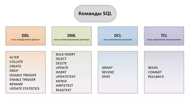 Основы SQL: как выполнять базовые SQL-запросы с помощью Python