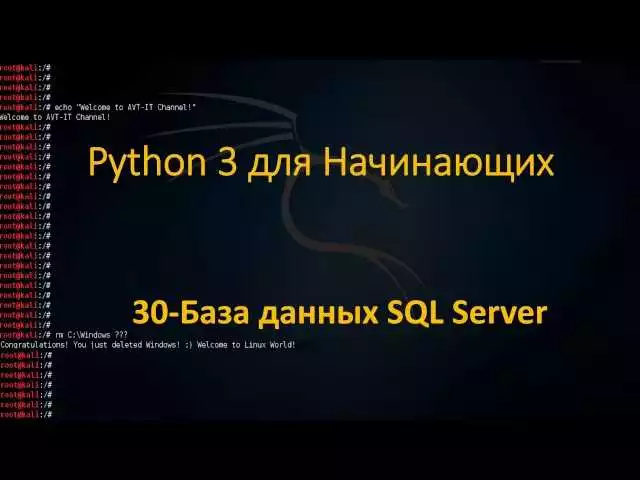 Использование Python для работы с базами данных