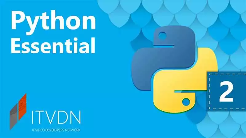 Как использовать наследование и полиморфизм в Python