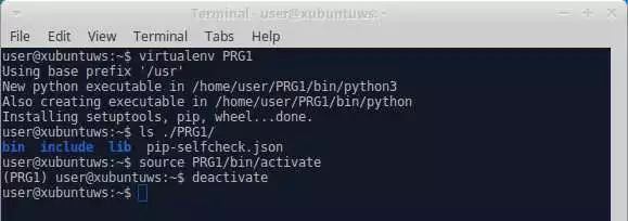 Шаги для создания и использования виртуального окружения Python