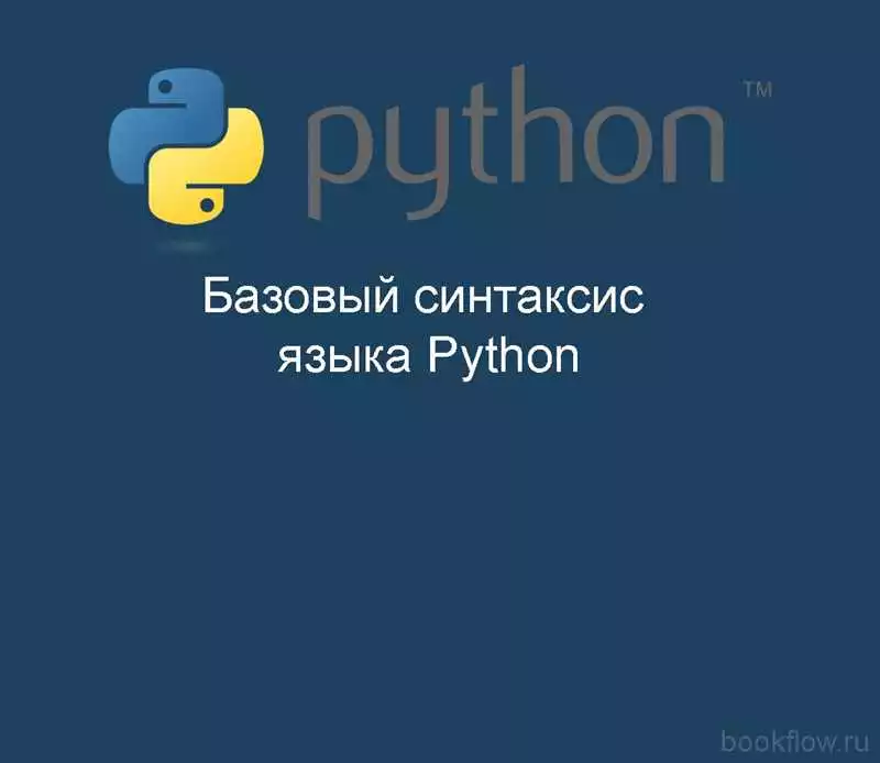 Раздел 1: Функции в Python
