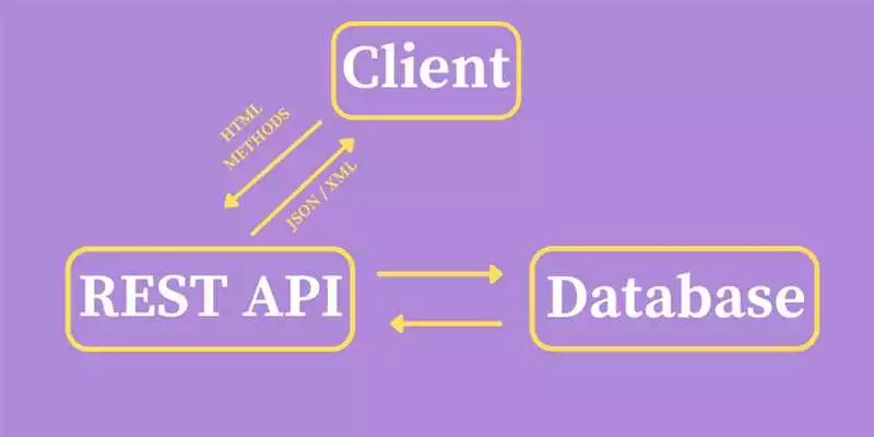 Основы работы с REST API на Python