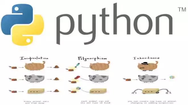Python для начинающих основы наследования и полиморфизма в ООП
