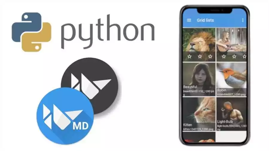 Возможности Python при разработке мобильных приложений