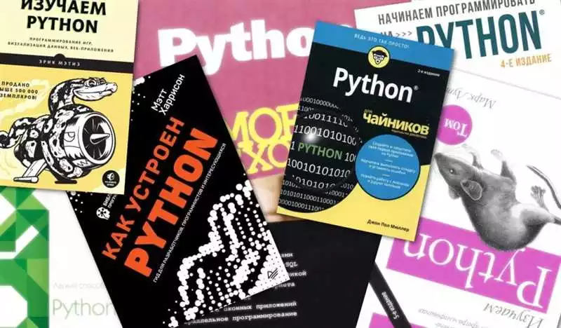 Введение в Python практическое руководство для новичков